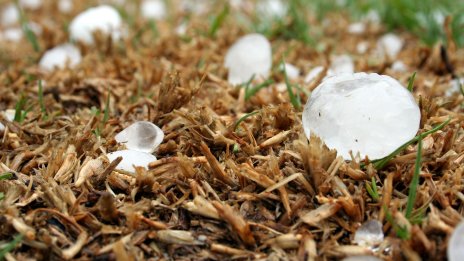 Земеделски производител: Застраховането в сектора продължава да бъде проблем