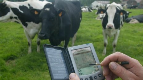 Продънената кошница на Общата селскостопанска политика