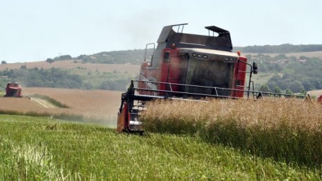 Новите технологии повишиха добивите на зърно, но оскъпиха производството
