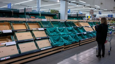 Търсене извън прогнозите, или защо рафтовете в супермаркетите стоят празни