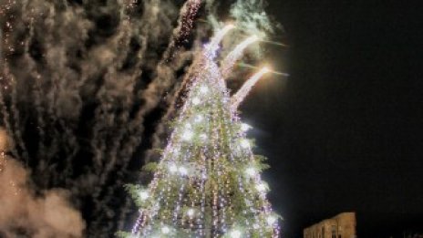 Кадър на деня за 1 декември