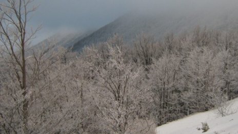 Съдът разреши изграждането на нова ски зона в Северозапада