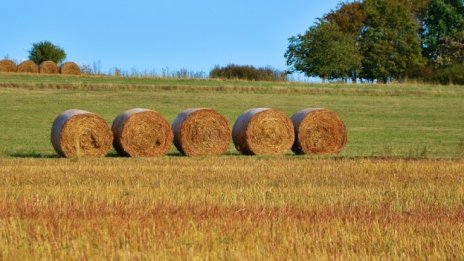 Първи спад на рентата на Адванс Терафонд 