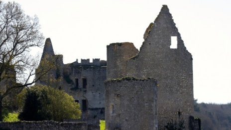 25 хил. души станаха съсобственици на френски замък