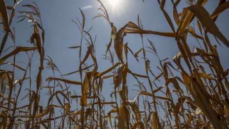 Фермерите ще получат отстъпка от 0,43 лв. от акциза за литър закупен газьол