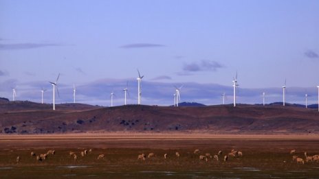 Вятърната енергия е задминала за пръв път въглищната и ядрената в Германия 