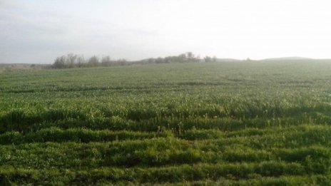 "Елана Агрокредит“ е финансирала през октомври сделки за над 2,6 млн. лв.