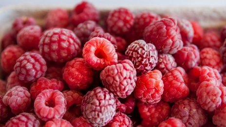 Производители на малини са заплашени от фалити