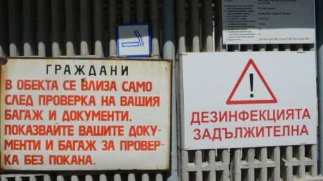 Африканската чума по свинете достигна и област Силистра