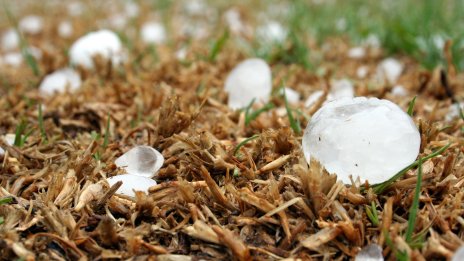 Експерт: Даваме по 20-30 млн. лв. за обезщетения, а не по 10-12 млн. лв. за превенция на градушките