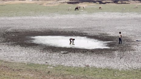 Най-тежката водна криза в историята на Индия остави милиони хора жадни