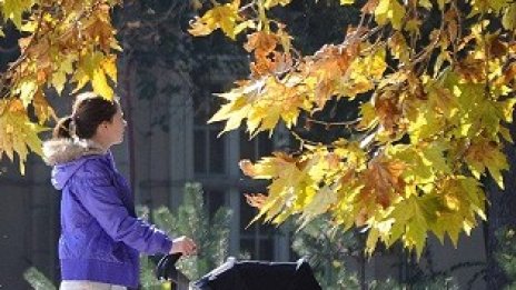 Младите без работа вече достигат 20% от всички безработни