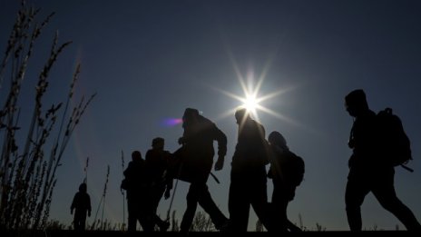 Графика на деня: Кои са основните дестинации на мигрантите?