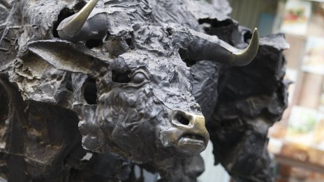 SOFIX с нов 5-годишен рекорд от 690,42 пункта