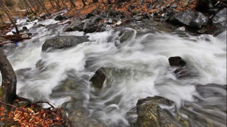 Плащането за екосистемни услуги у нас засега става по доброволни инициативи на бизнеса