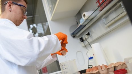 В края на седмицата приключва проверката за фипронил в българските птицеферми