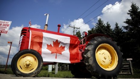 Заетостта в Канада расте, а безработицата се понижава до 9-годишно дъно