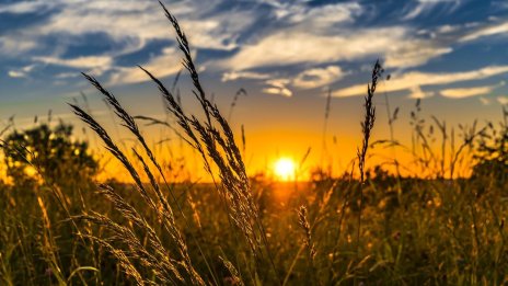 Продажбите на „Зърнени Храни България“ намаляват през третото тримесечие в сравнение с второто