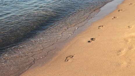 Проверка установи петна от мазут на плаж до Синеморец