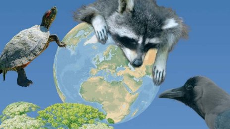 Екоексперт: Стандартите за биоразнообразие за бизнеса ще излязат на пазара през 2023 г.