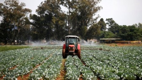 Светлана Боянова: Трябва да има дискусия за зеления преход в селското стопанство