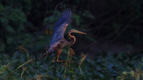 Кадър на деня за 13 февруари