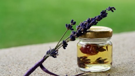 Лавена ще увеличава капитала