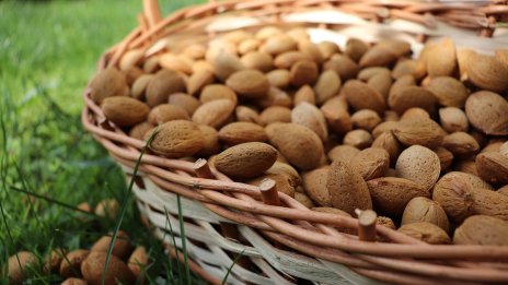 Къде оценяват българския тахан като висококачествена европейска стока?