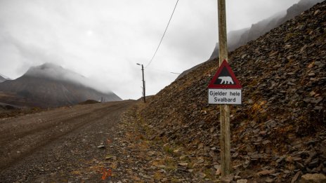 Последната частна територия в Арктика очаква стратегически купувач срещу 300 млн. евро