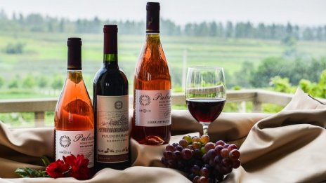 Френският износ на вино и спиртни напитки отчете рекордна година