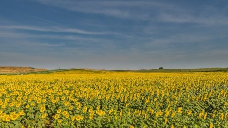 Земеделието в Русия процъфтява след санкциите срещу Запада