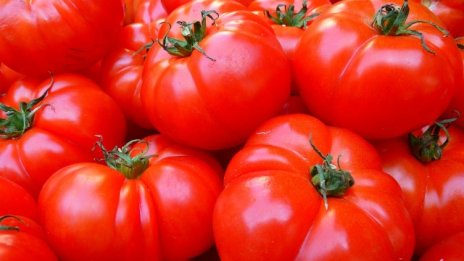 Храните на едро поевтиняват през седмицата