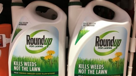 Преди сливането с Bayer Monsanto показва убедителни резултати