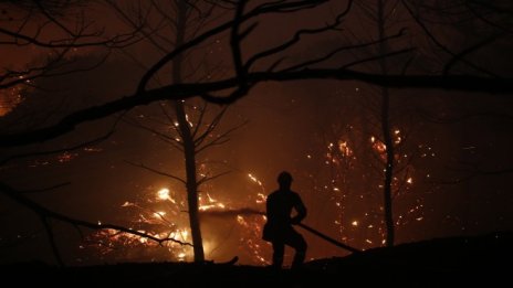 Кадър на деня за 5 август