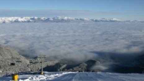 Депутатите приеха окончателно поправките "Витоша ски" в закона за горите