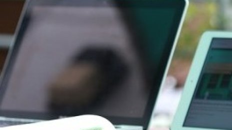 ИПИ: Хаос в регистрите