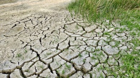 Капитализмът може да спаси... климата