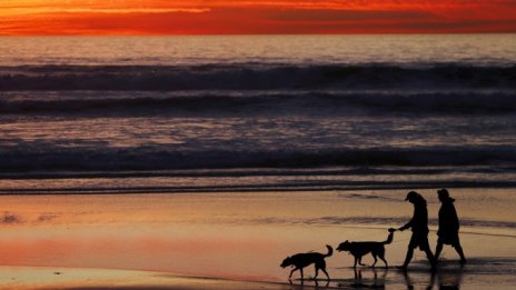 По-кратката работна седмица ли е пътят към стимулиране на икономиката?