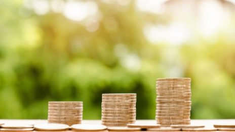 Оптимизъм с предупредителни сигнали в бизнес наблюденията през лятото