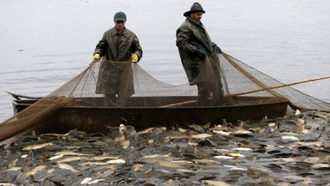 България се включва в нова стратегия за рибарство в Средиземно и Черно море