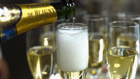 Производството и износът на пенливи вина в ЕС са намалели с 8% през 2023 г. 