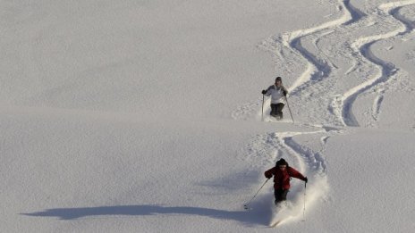 Костов: Да се строят писти без промяна на предназначението на горите е правилно