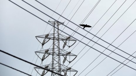 EVN България предлага 4-процентен ръст в цената на дневната електроенергия