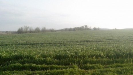 Агро Финанс с 1,9% ръст на рентите до рекордните 49,51 лв. на декар