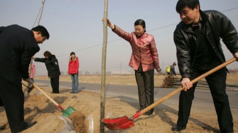 "Великата зелена стена" и пропуските на Пекин в борбата с климатичните промени
