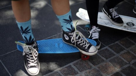 Данъци от продажби на марихуана ще подкрепят бюджета на Калифорния с 1 млрд. долара