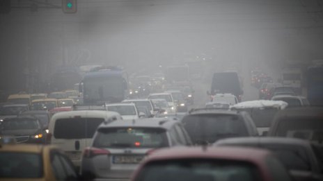 Нона Караджова: Предложението на МОСВ за дизеловите коли е правилна стъпка