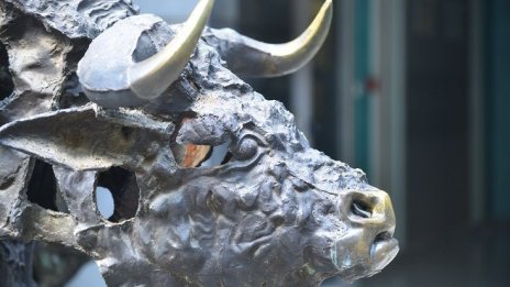 Расте броят на новите индивидуални инвеститори на БФБ