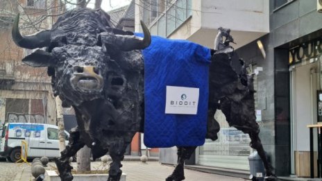 Успешният ход за "Биодит" - преизпълнение на прогнозите