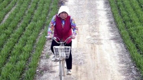 Четири възможности за инвестиции в бизнес имоти